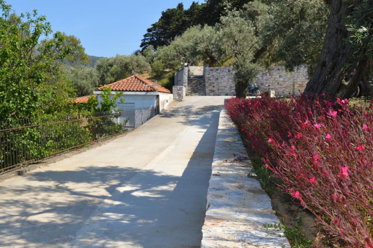 Remvi Apartments Skopelos Extérieur photo